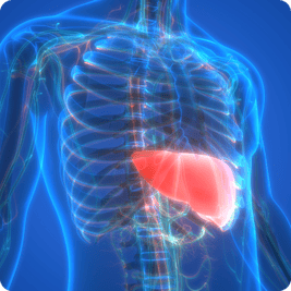 ketosis-improve-fatty-liver